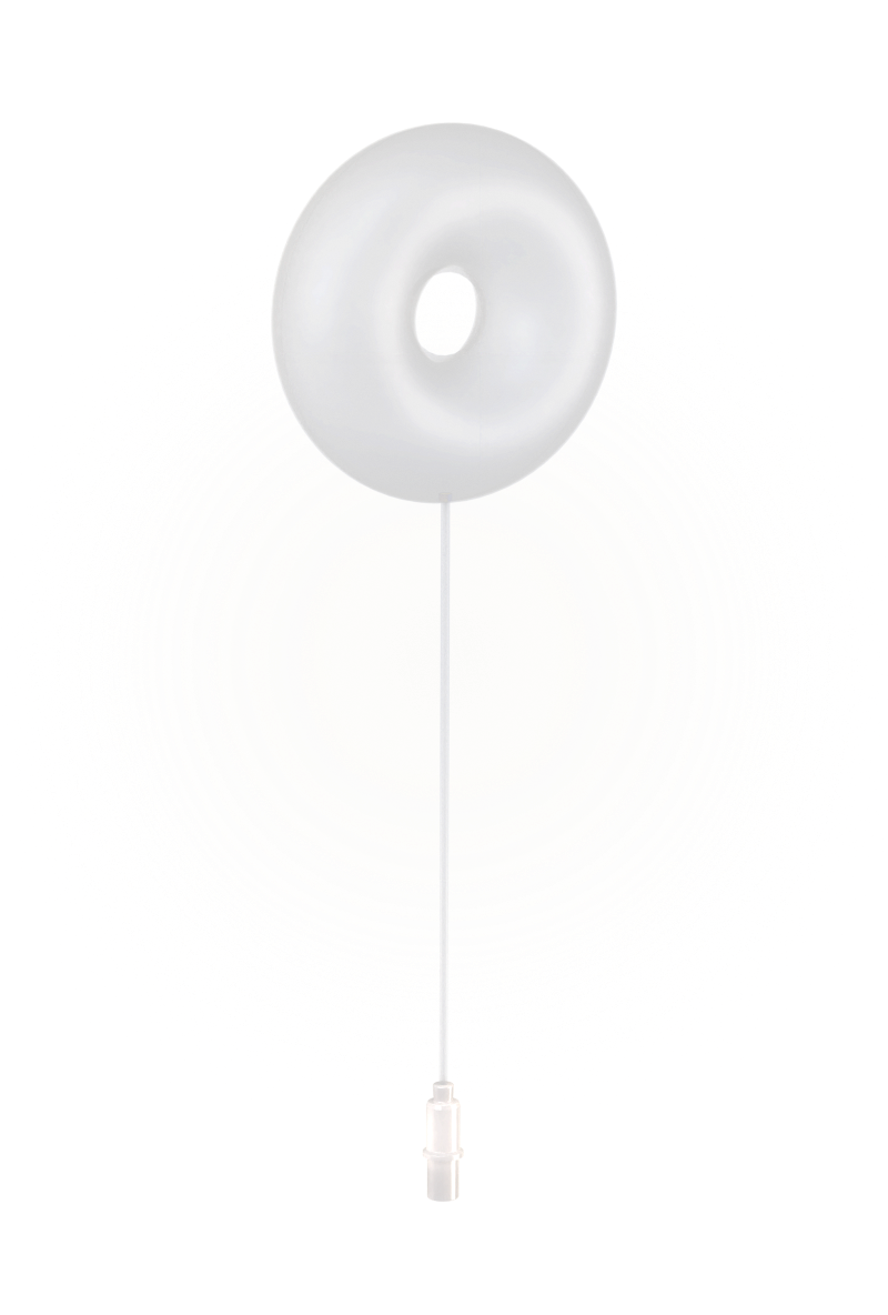 Everyday Support for Pelvic Organ Prolapse | femtherapeutics
